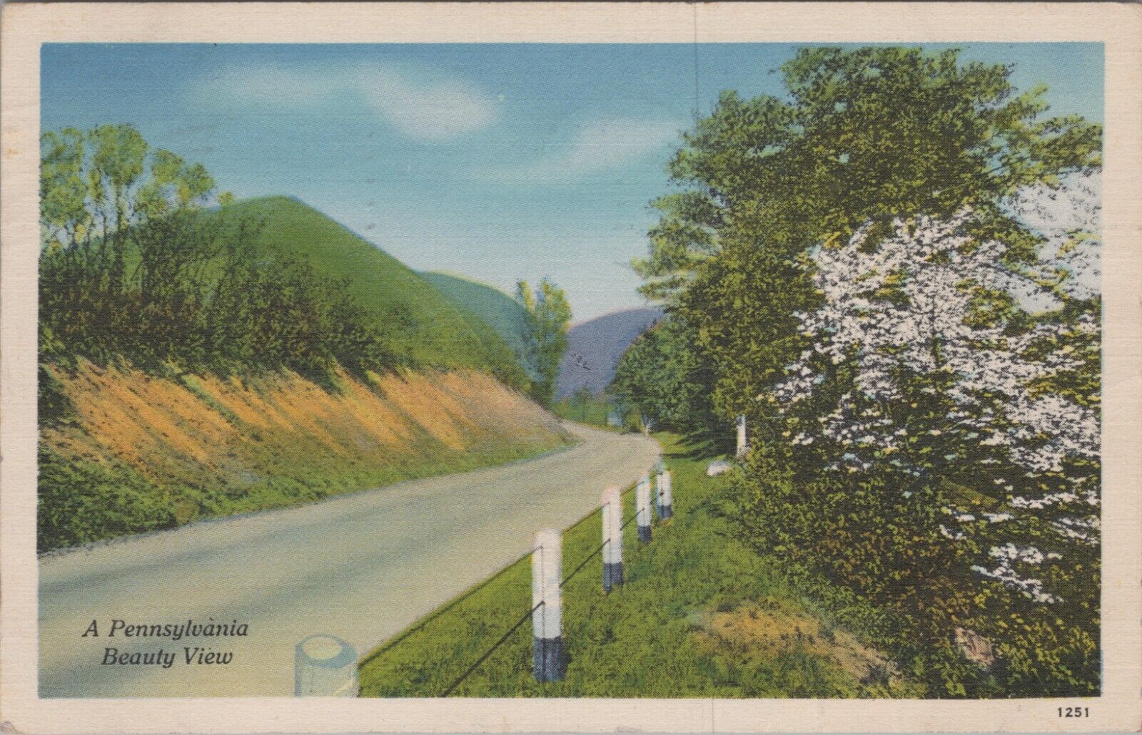 MR ALE c1920s Postcard A Pennsylvania Beauty View Road Railing 1952 PM 5818.2