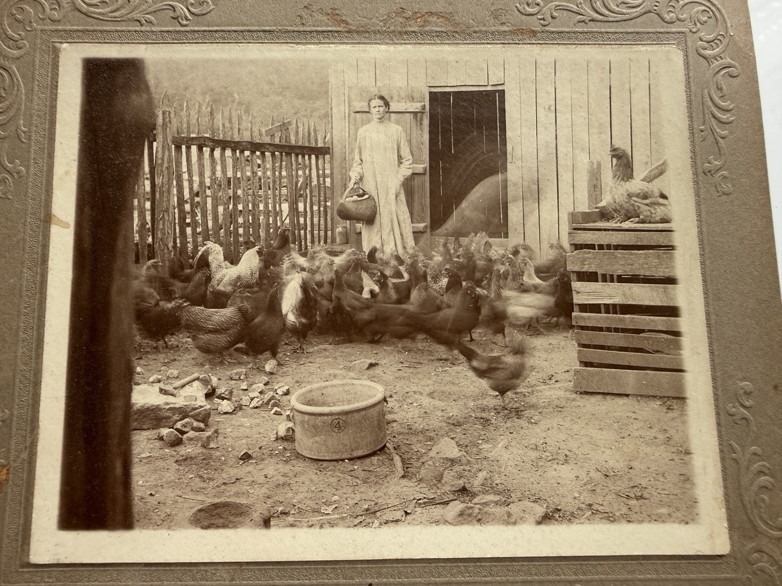Antique TEXAS Woman Feeding CHICKENS Vintage Farm PHOTOGRAPH Addie, Tommie Sisco