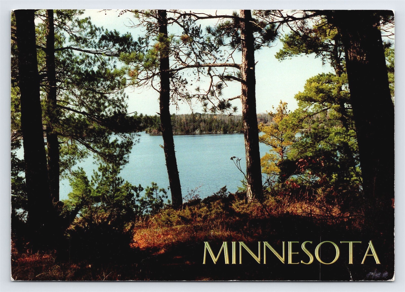 Minnesota Lake Scene Vtg MN Postcard Scenic View 4x6 Continental Posted Minnesota Lake Scene Vtg MN Postcard Scenic View 4x6 Continental Posted