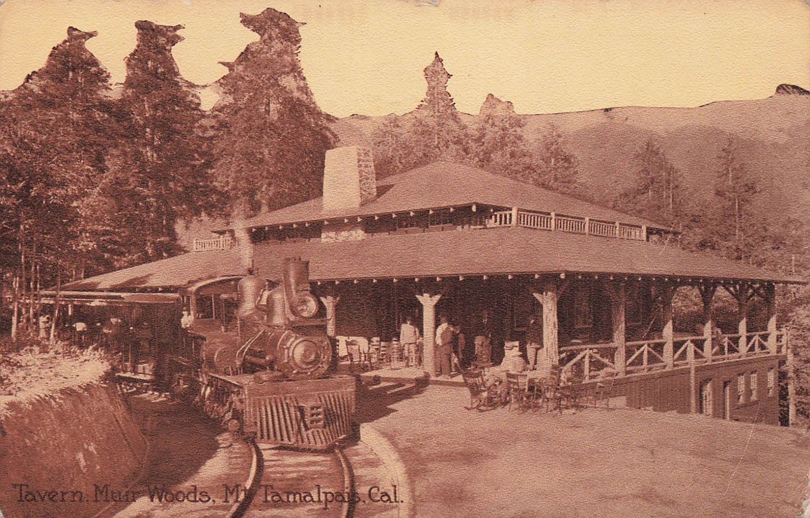 Mount Tamalpais Muir Woods Railway Mill Valley Train Railroad Vtg Postcard 16A