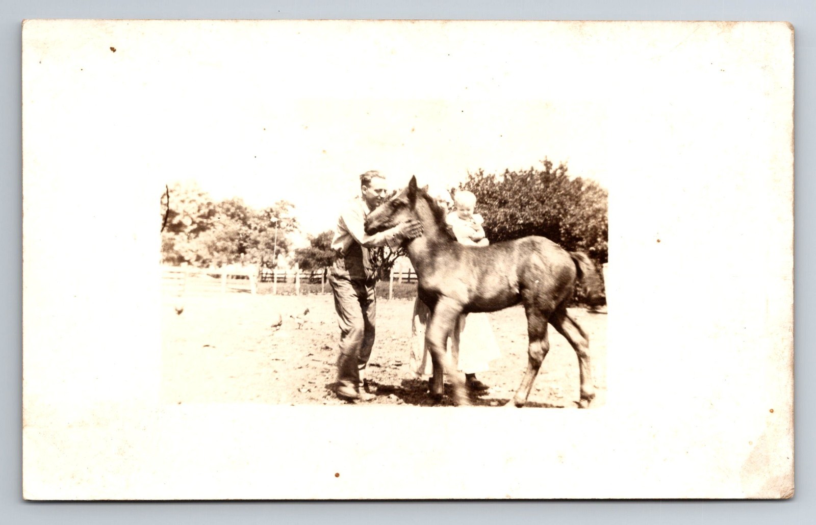 Farm, Farmer with Colt, Little Baby, RPPC, Real Photo, Vintage Postcard Farm, Farmer with Colt, Little Baby, RPPC, Real Photo, Vintage Postcard