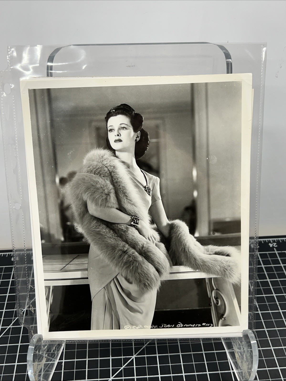 1940s Actress Joan Bennett Fur Fashion Beauty Portrait Original 8x10 Photo VTG