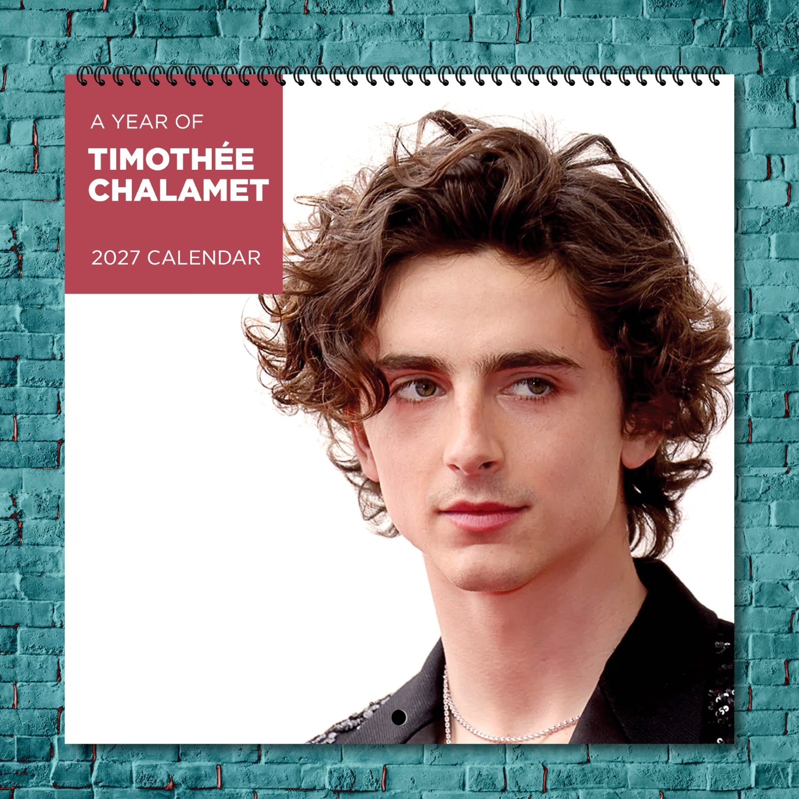 Timothee Chalamet 2027 Wall Calendar 12 Month Celebrity Photo Fan Collectible
