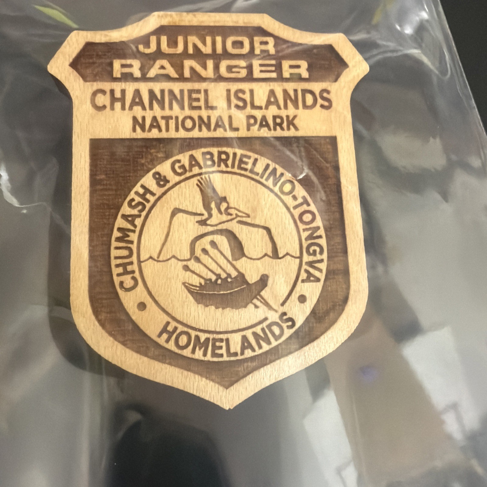 CHANNEL ISLAND Junior Jr National Park Ranger Wooden Souvenir Badge CHANNEL ISLAND Junior Jr National Park Ranger Wooden Souvenir Badge
