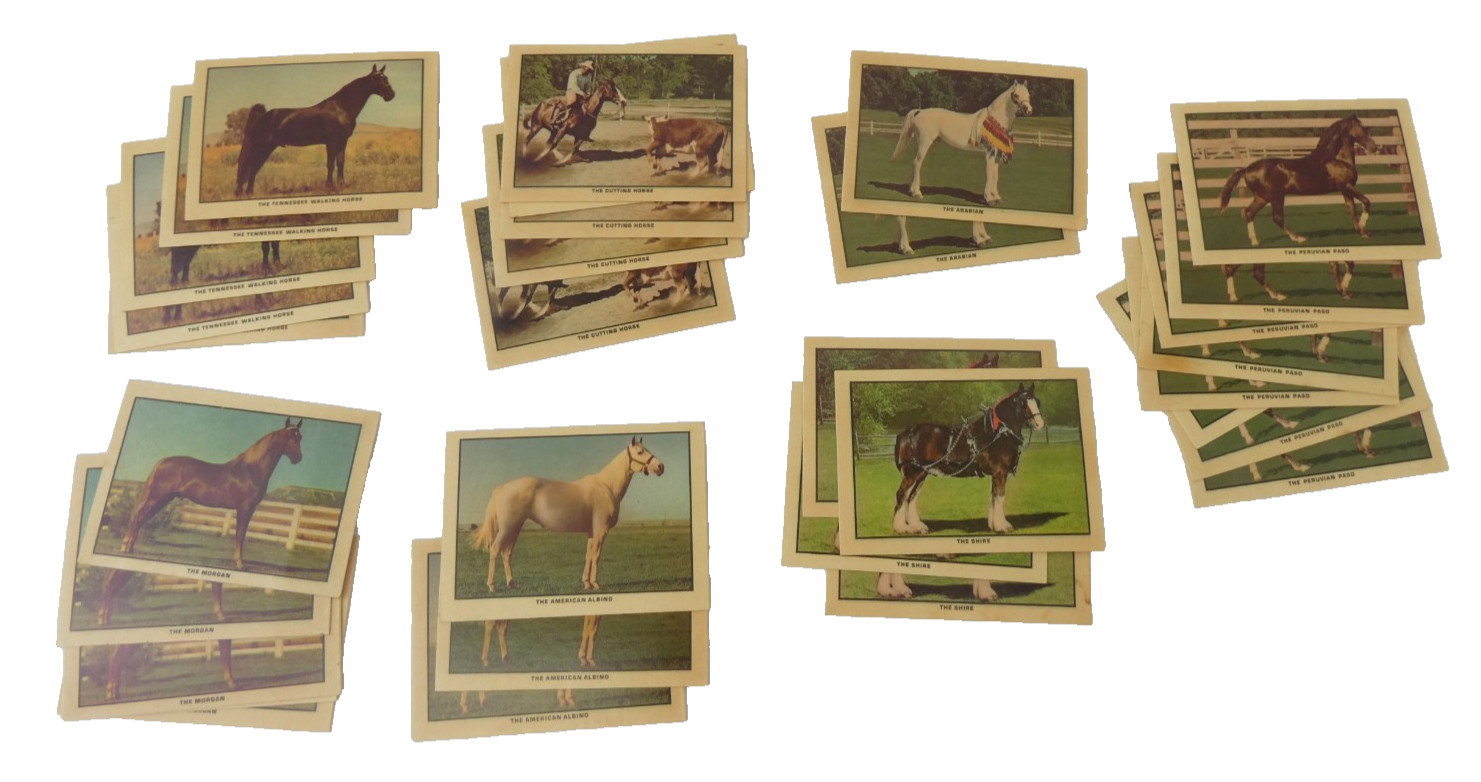 Lot of 1976 Kellogg Company Stick’r Trading Cards Horse Arabian Peruvian Shire Lot of 1976 Kellogg Company Stick’r Trading Cards Horse Arabian Peruvian Shire