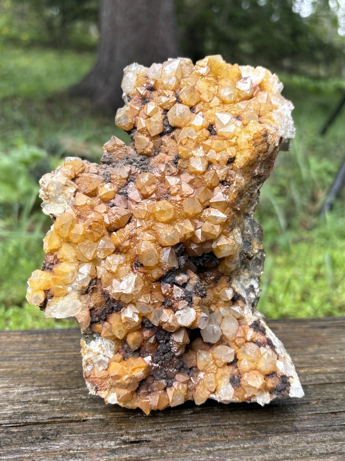 Raw Large Natural Quartz Cluster- Vibrant 6.2” Yellow Quartz Iron Oxide Crystals Raw Large Natural Quartz Cluster- Vibrant 6.2” Yellow Quartz Iron Oxide Crystals