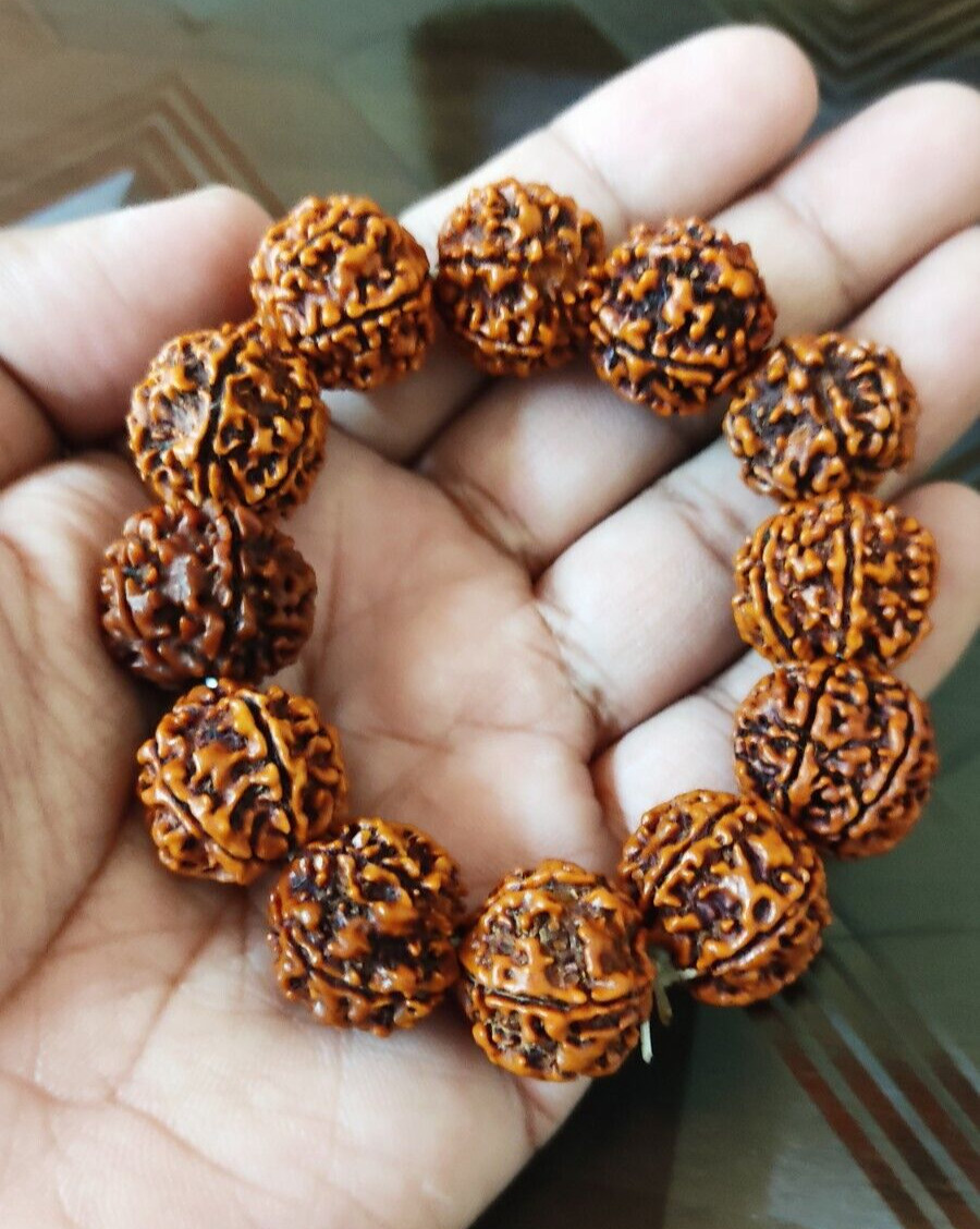Seven 7 Mukhi Rudraksha Bracelet Nepal Beads Certified Yoga Energized Seven 7 Mukhi Rudraksha Bracelet Nepal Beads Certified Yoga Energized