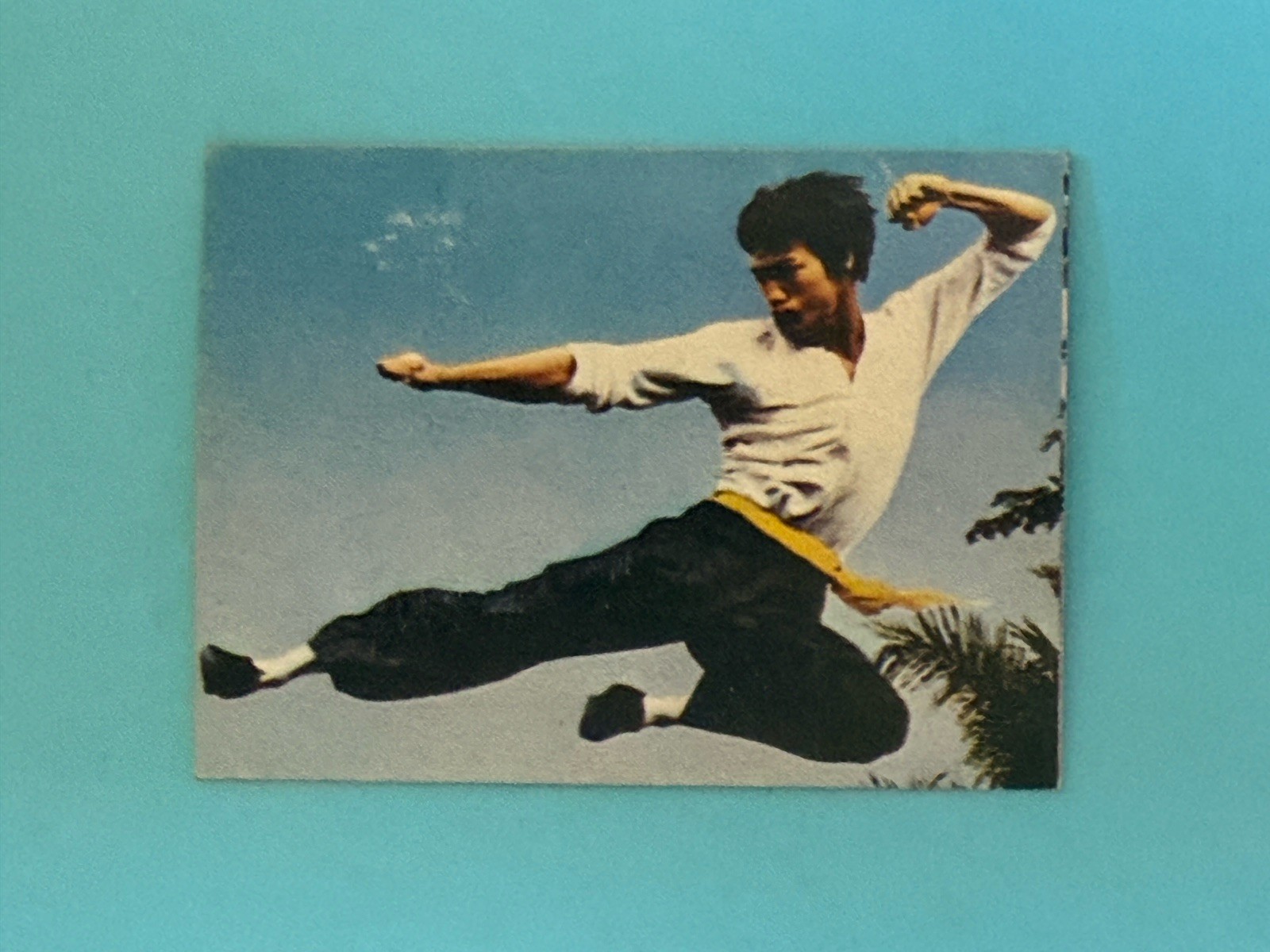 Bruce Lee 1974 Yamakatsu Japan Enter the Dragon #30 Rookie Card RC *VG - EX* Bruce Lee 1974 Yamakatsu Japan Enter the Dragon #30 Rookie Card RC *VG - EX*
