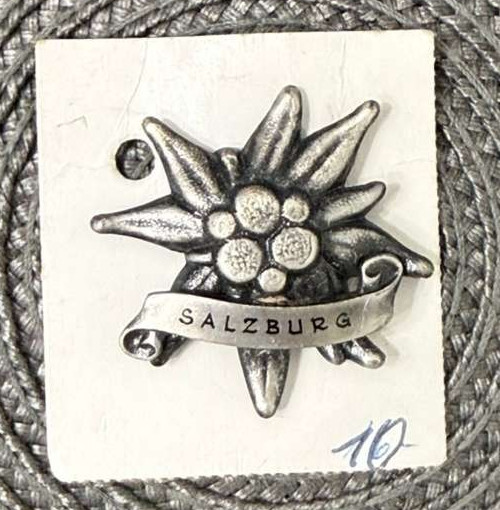 RARE VINTAGE ENAMEL SOUVENIR GRAND TOUR PIN BROOCH SALZBURG RARE VINTAGE ENAMEL SOUVENIR GRAND TOUR PIN BROOCH SALZBURG