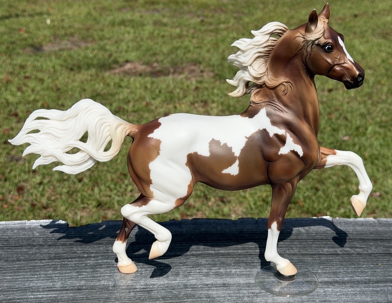 Breyer 2006 JCPenney Chestnut Pinto Half Arabian Huckleberry Bey Special Run