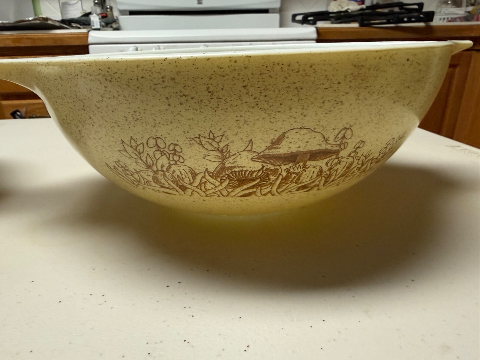 Vintage Pyrex Forest Fancies Mushroom Cinderella Mixing Bowl Set (4 Pieces) Vintage Pyrex Forest Fancies Mushroom Cinderella Mixing Bowl Set (4 Pieces)