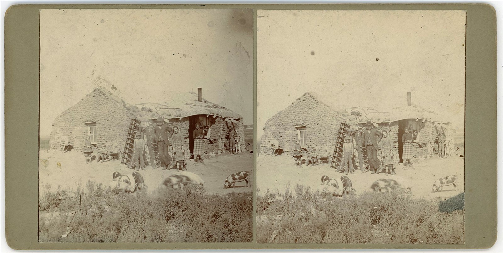 KANSAS STEREOVIEW - Abilene - Sod Home & Family Farm - 1880s/90s VERY RARE KANSAS STEREOVIEW - Abilene - Sod Home & Family Farm - 1880s/90s VERY RARE