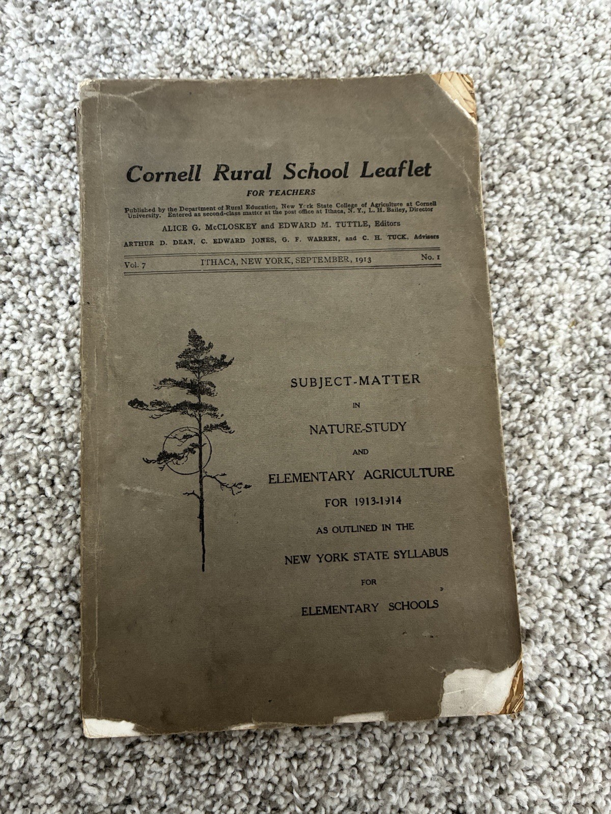 Antique Cornell School Curriculum Early 1900s Nature Study & Agriculture 1913 Antique Cornell School Curriculum Early 1900s Nature Study & Agriculture 1913