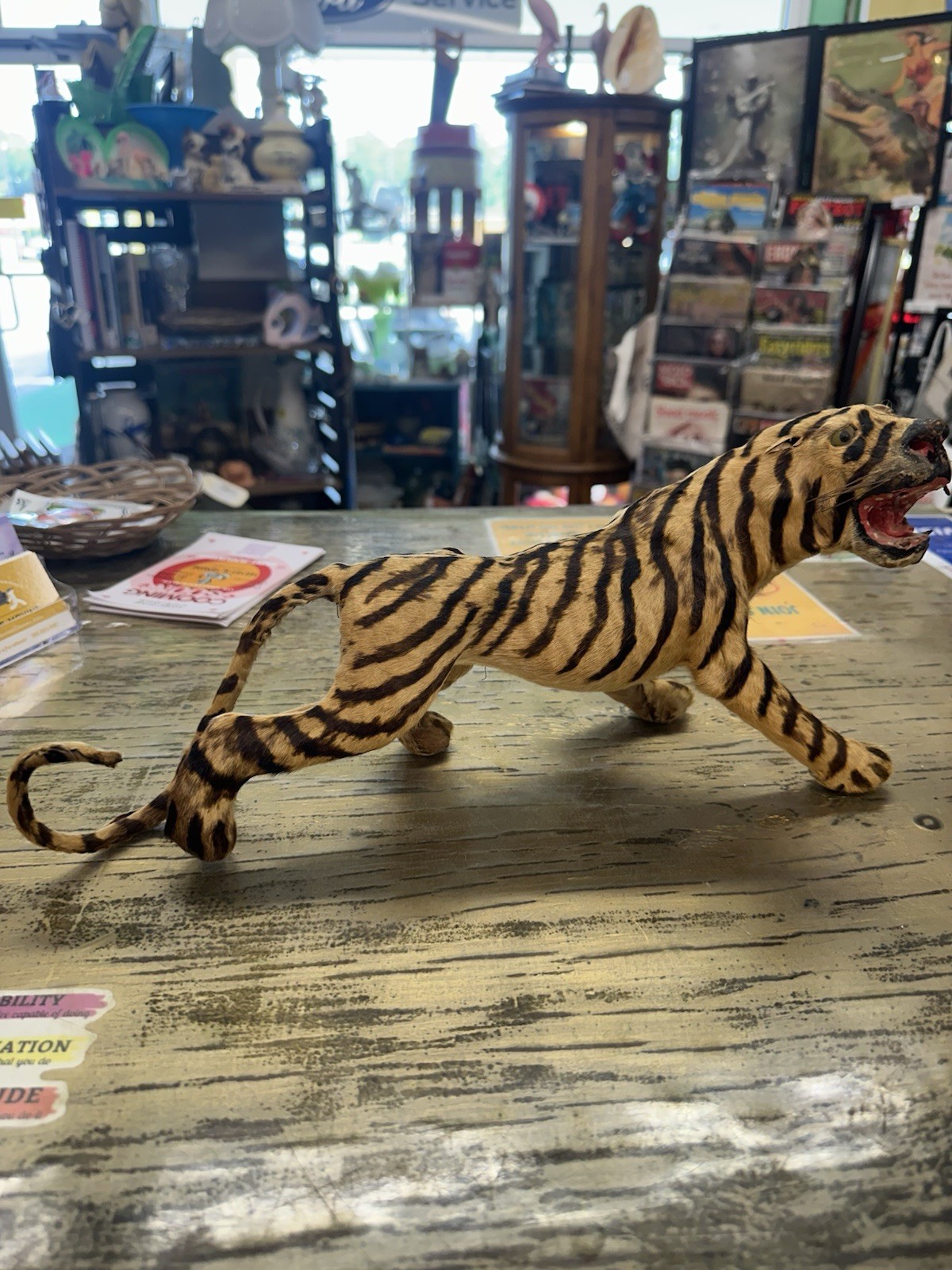 Antique Tiger Taxidermy Souviner Real Fur Hand Made Figurine African Antique Tiger Taxidermy Souviner Real Fur Hand Made Figurine African