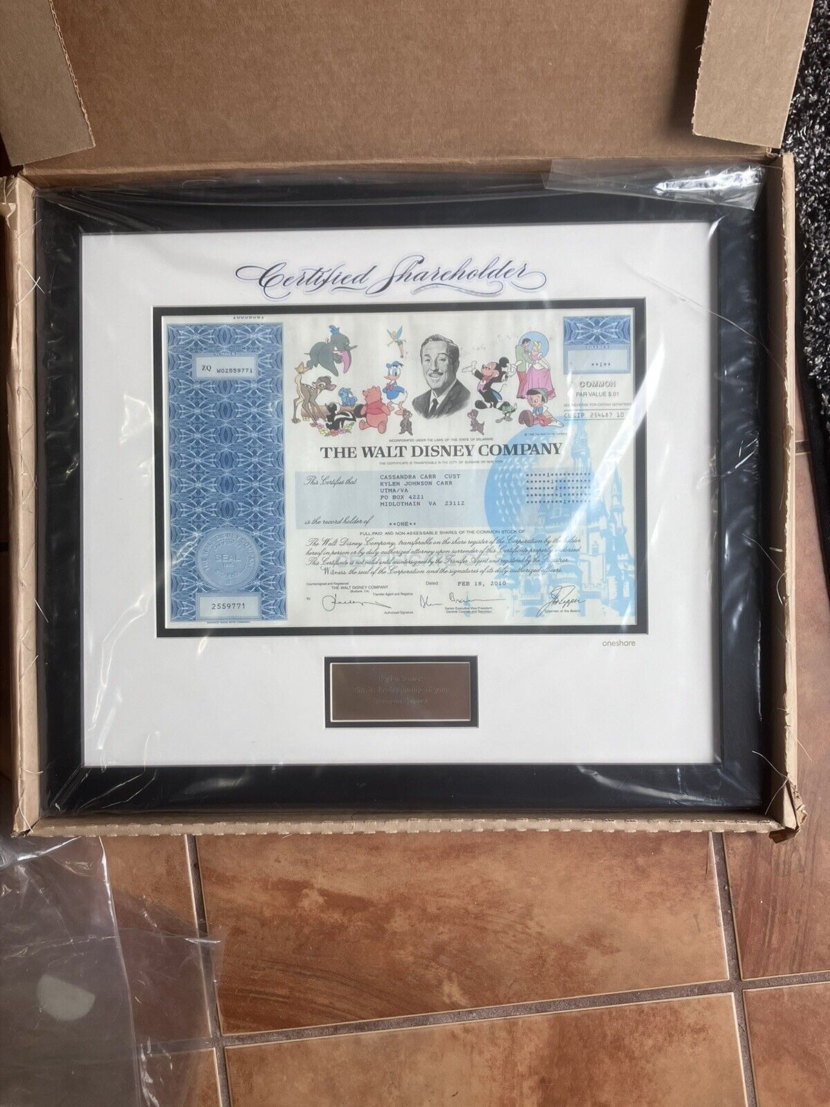 2010 Walt DISNEY Co. Stock Certificate Framed And Matted - 1 One SHARE with COA