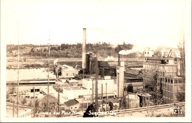 Vintage RPPC Postcard Lumber and Pulp Mills Shelton Washington c.1940-1950 20606