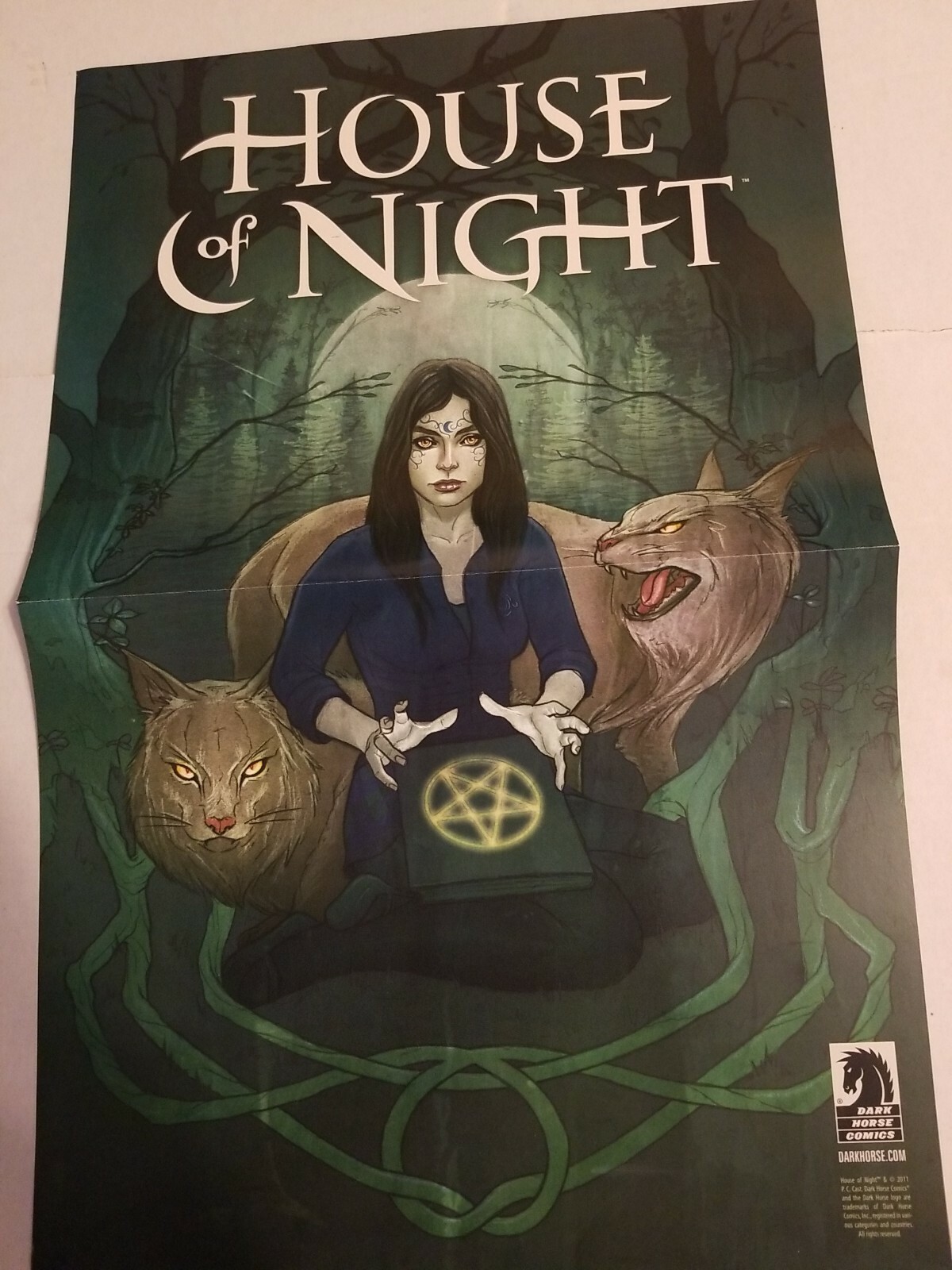 House of Night vintage Poster P C Cast Strain Guillermo Del Toro 2 sided horror House of Night vintage Poster P C Cast Strain Guillermo Del Toro 2 sided horror