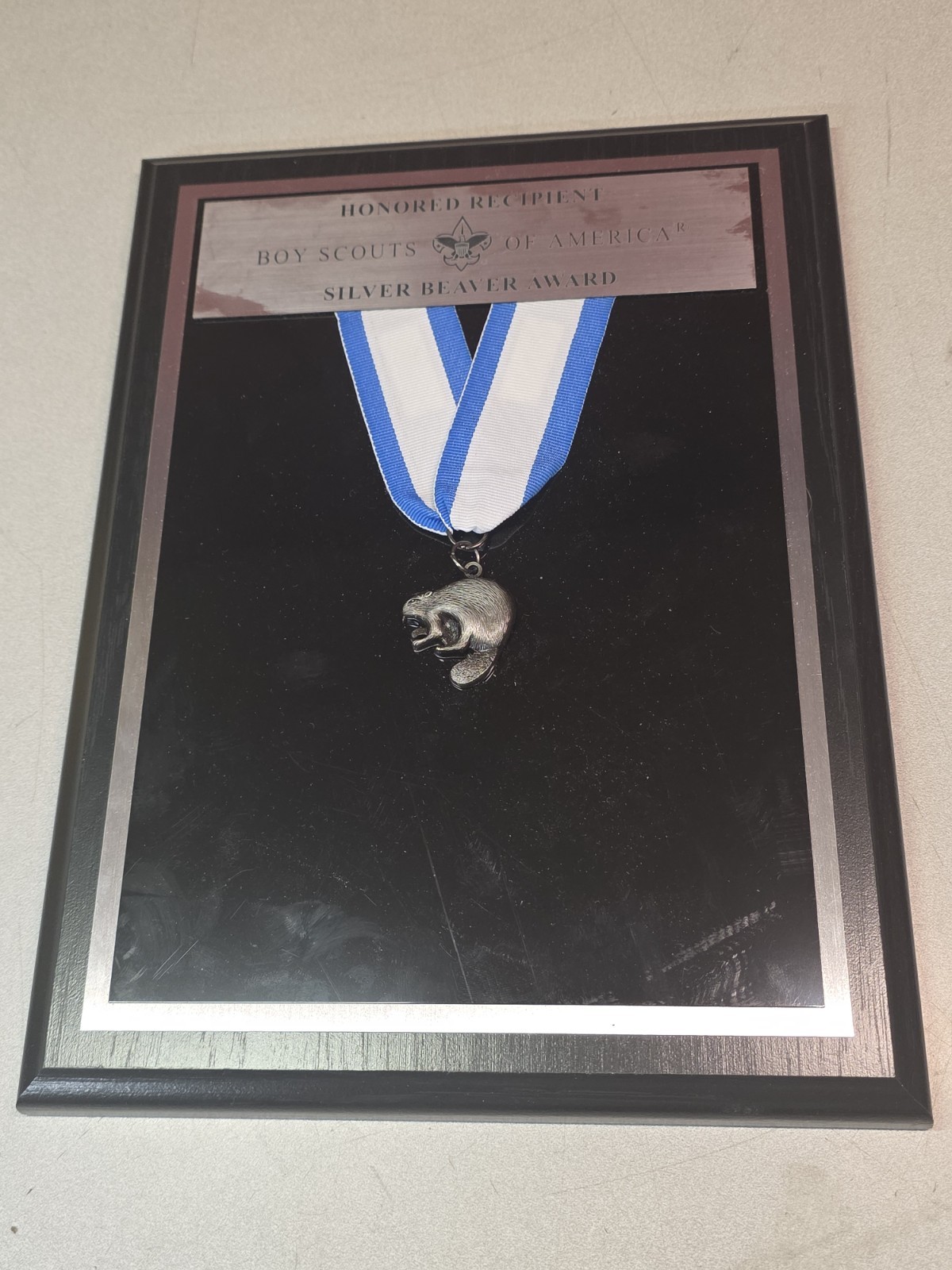 Boy Scouts of America BSA Silver Beaver Award Medal Boy Scouts of America BSA Silver Beaver Award Medal