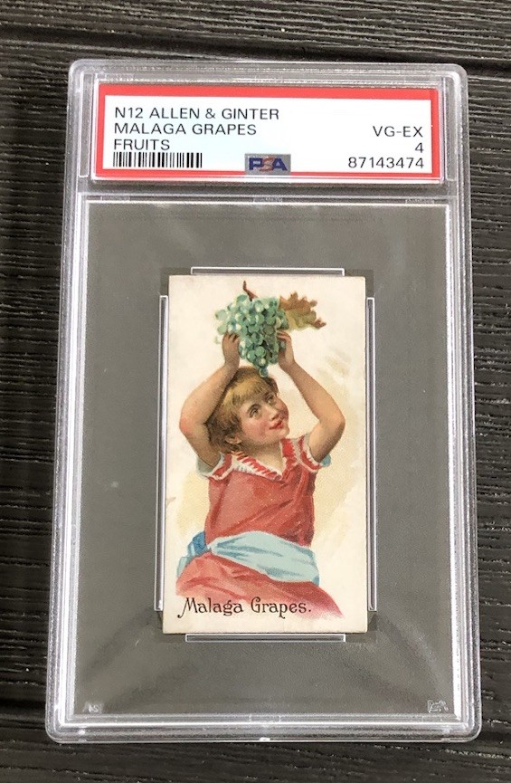 1891 N12 Allen Ginter Malaga Grapes PSA 4 1891 N12 Allen Ginter Malaga Grapes PSA 4
