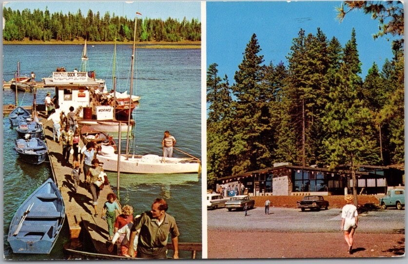 MEDFORD, Oregon Postcard \