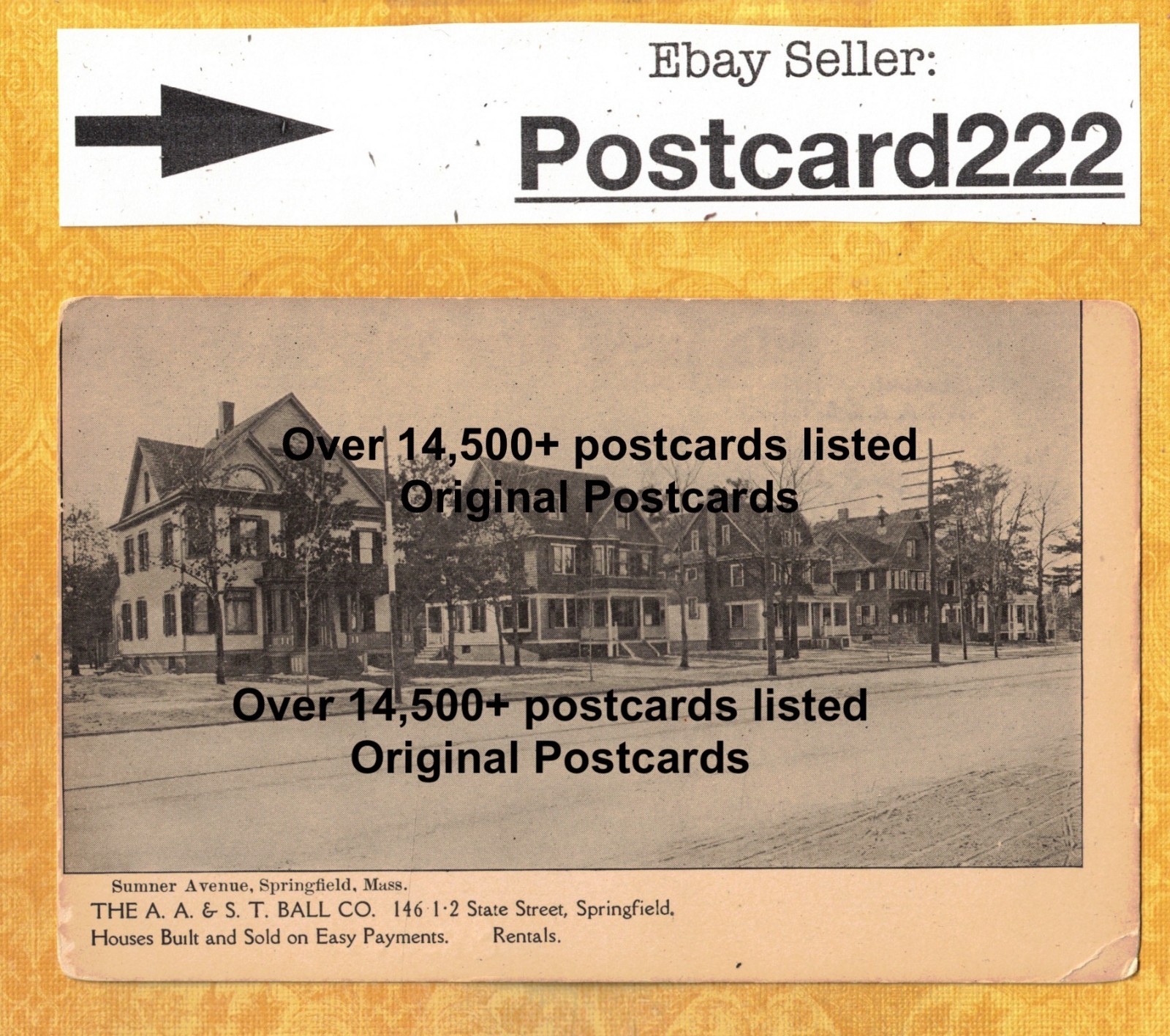 MA Springfield  postcard 1901-09 lots of Houses on Sumner Ave Built by Ball Co.