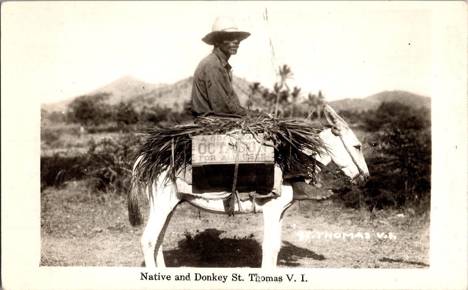 [62k] Postcard RPPC, Native and Donkey St Thomas VI