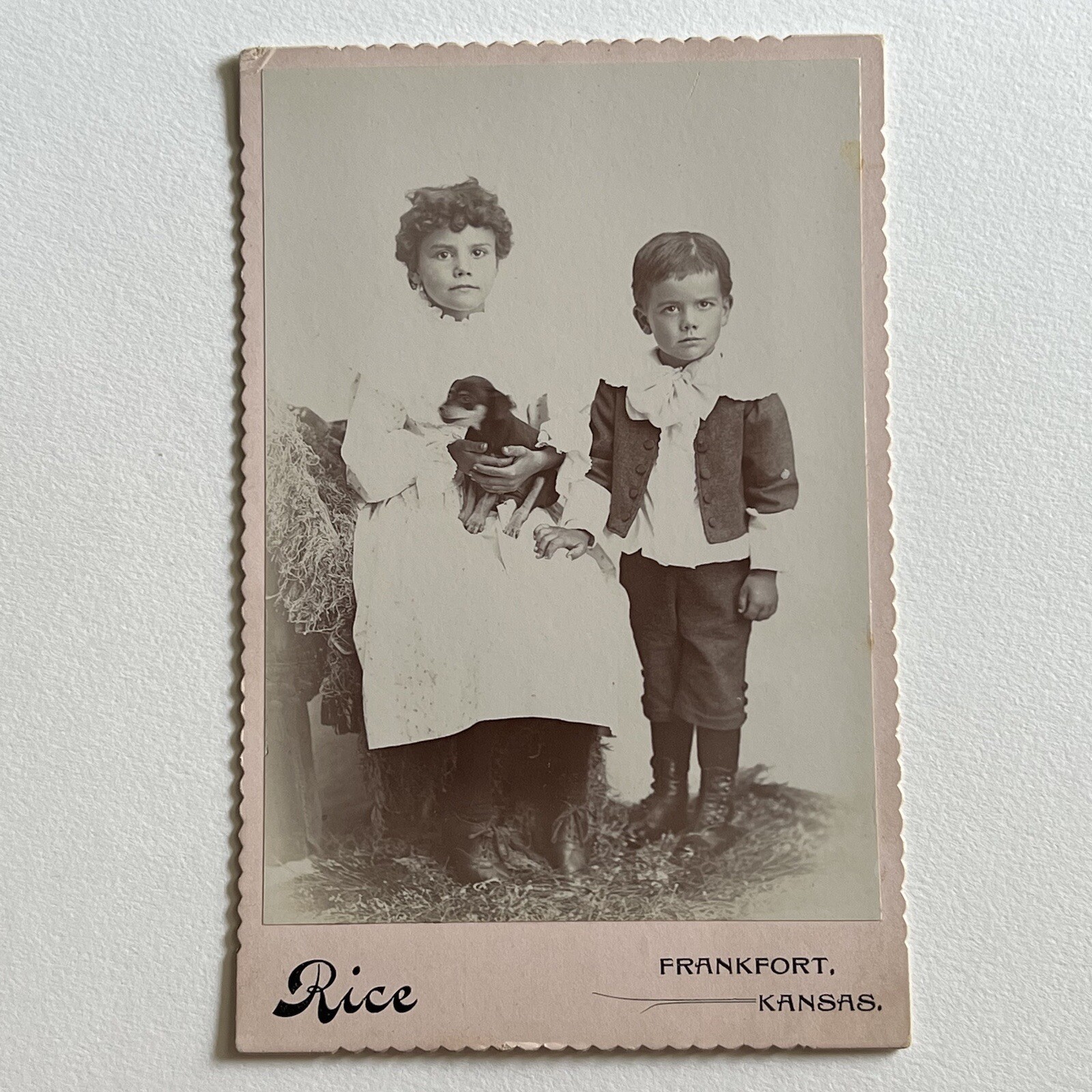 Antique Cabinet Card Photograph Adorable Children Sweet Puppy Dog Frankfort KS Antique Cabinet Card Photograph Adorable Children Sweet Puppy Dog Frankfort KS