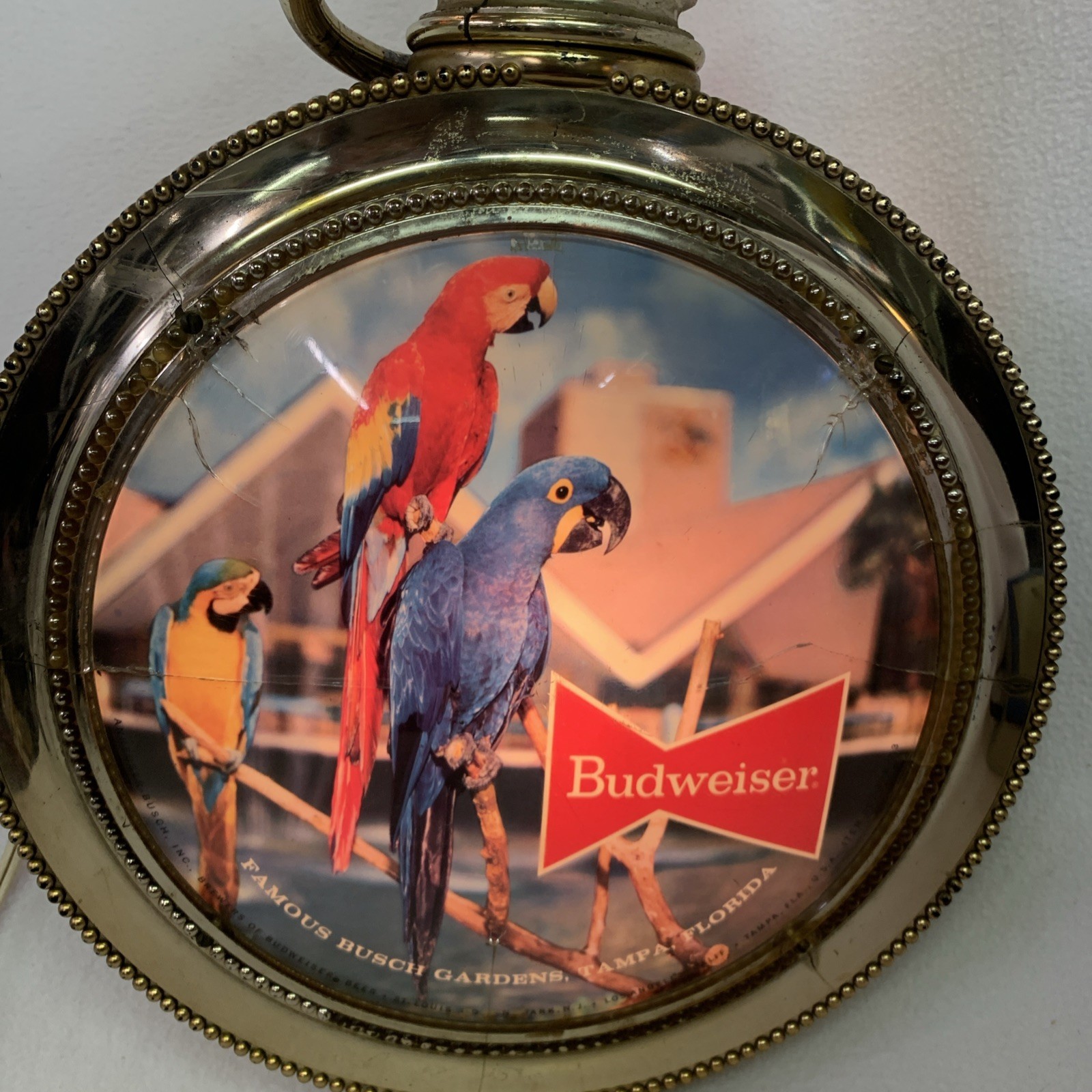 Vintage 1960’s Budweiser Beer Rotating Clock Light Busch Gardens Parrots (works)