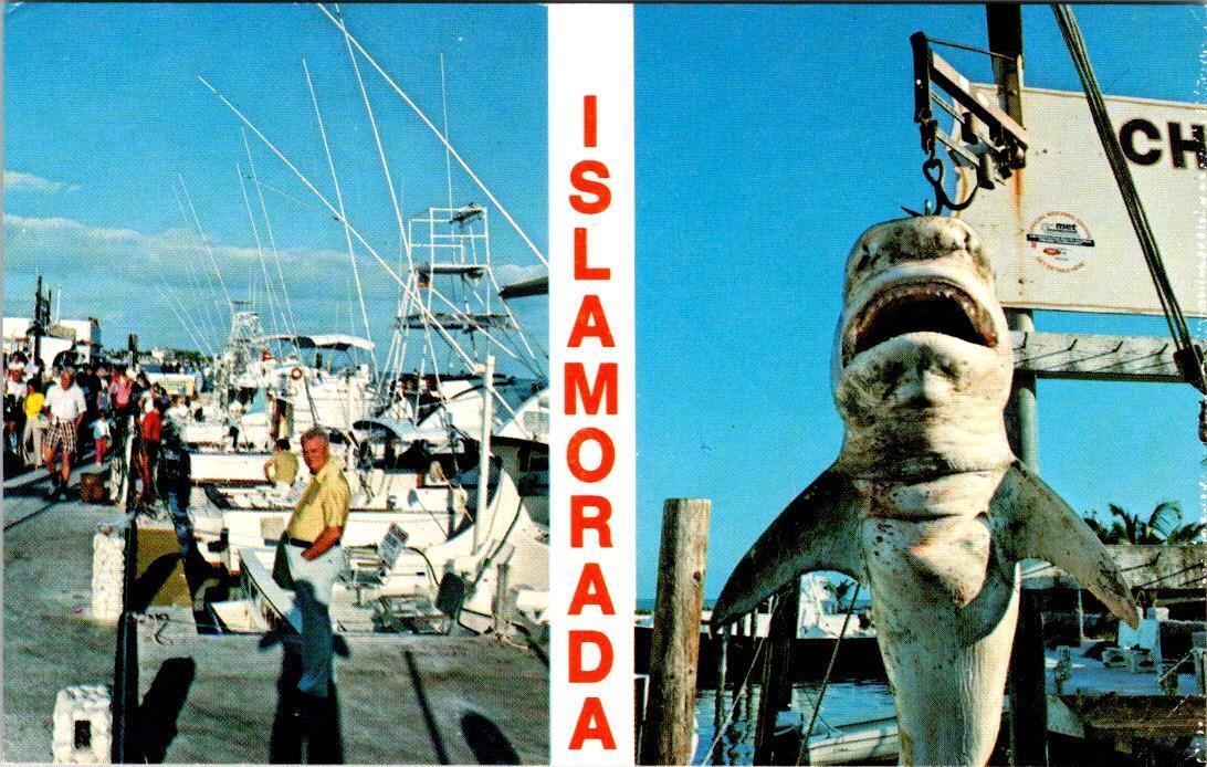 Islamorada, FL Florida  FISHING BOATS & DOCK  Shark On Hook  VINTAGE  Postcard
