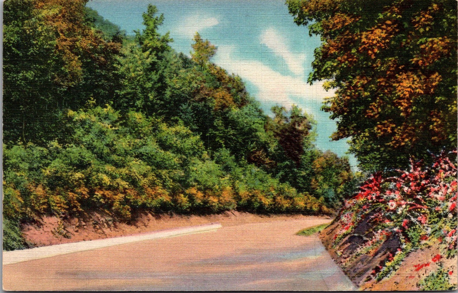 Roadway Skyline Drive Mount Penn Reading PA 1937 Vintage Postcard 5P19-19