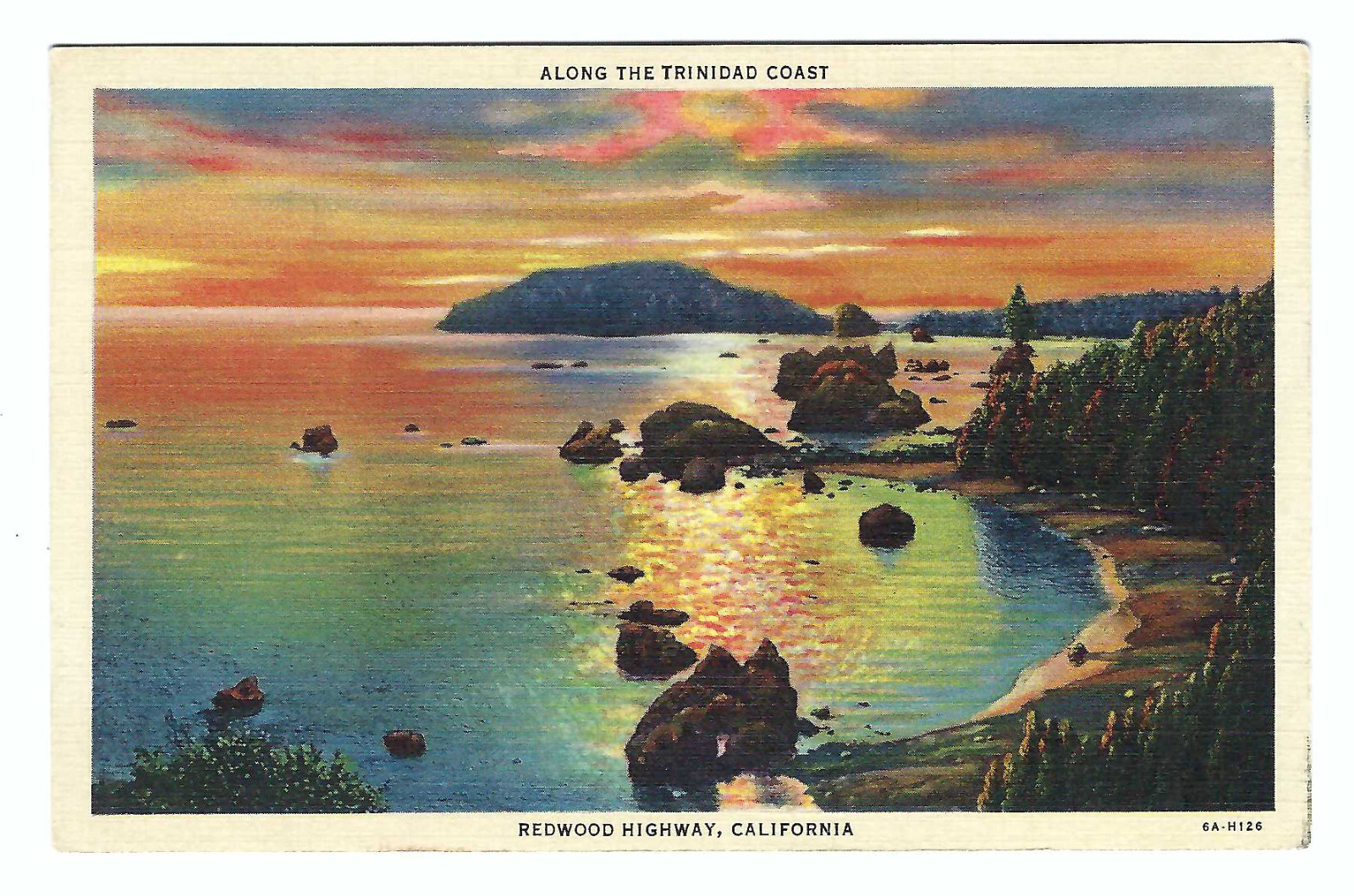 Redwood Highway along the Trinidad Coast California Vintage Postcard