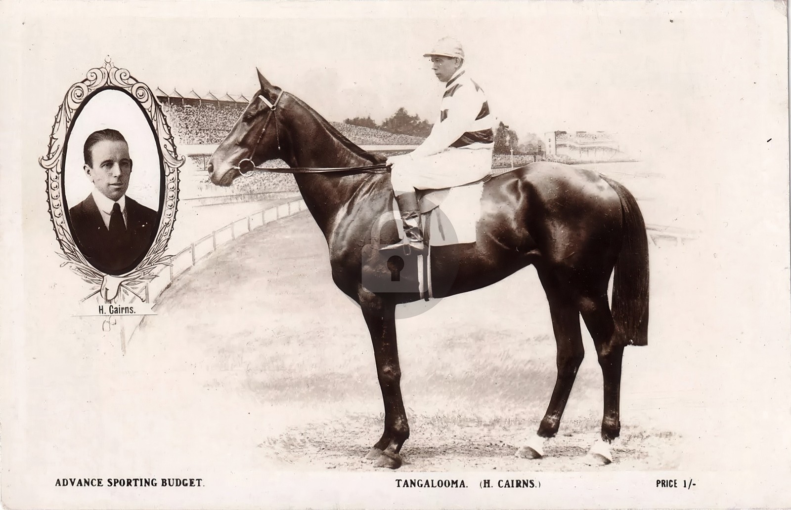 Tangalooma QLD Australia Horse Racing RPPC Photo Postcard COPY
