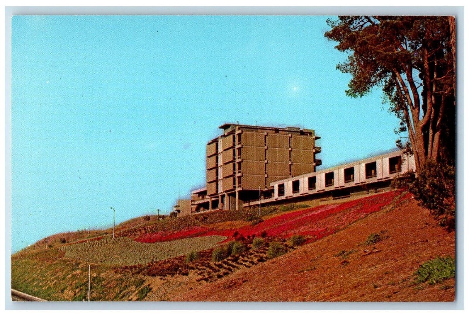 c1960 Rio Hondo Jr. College Bloom Library Exterior Whittier California Postcard