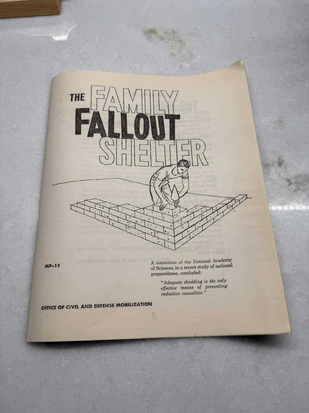 Vintage 1961 (1959) Department Of Defense Guide For Building A Fallout Shelter Vintage 1961 (1959) Department Of Defense Guide For Building A Fallout Shelter