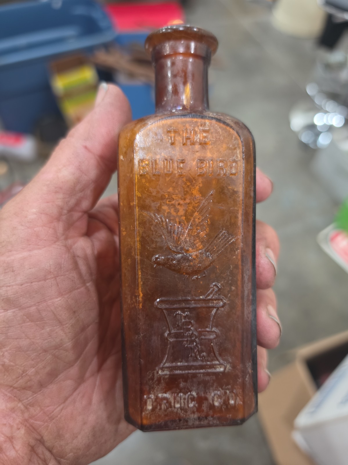 #6122 *RARE* Antique Amber, The Blue Bird Drug Co. San Mateo Ca. 1800\'s 5.5\ #6122 *RARE* Antique Amber, The Blue Bird Drug Co. San Mateo Ca. 1800\'s 5.5\