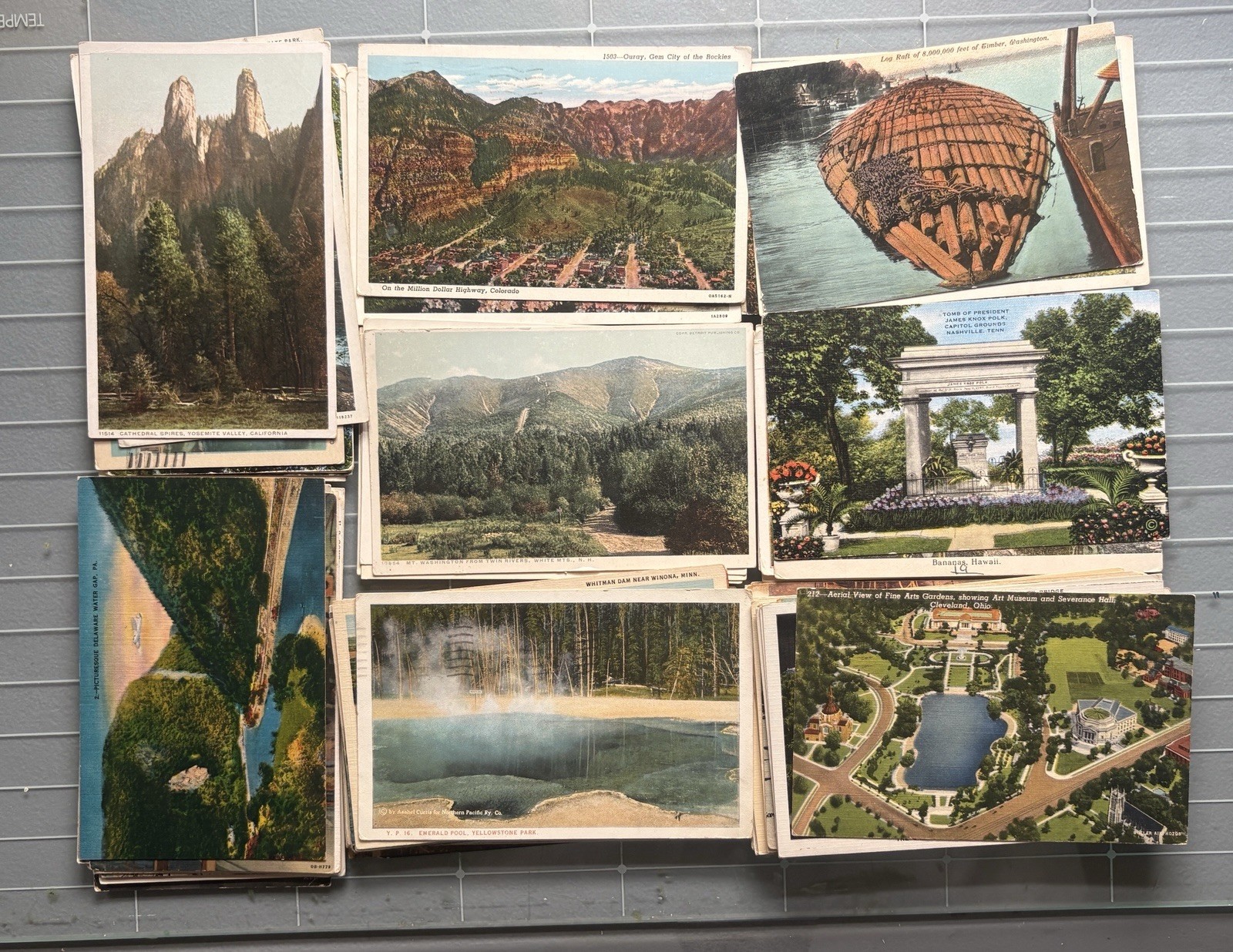 Vintage Postcard Lot of 50  Nature Mixed , Used and Unused .
