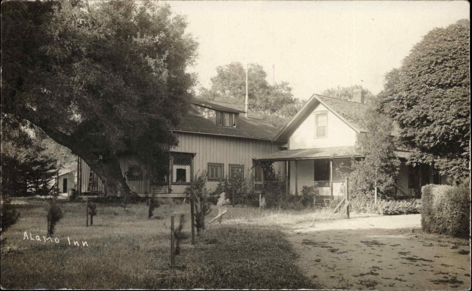 Alamo Inn CA ? CO? NM? c1910 Real Photo Postcard Alamo Inn CA ? CO? NM? c1910 Real Photo Postcard