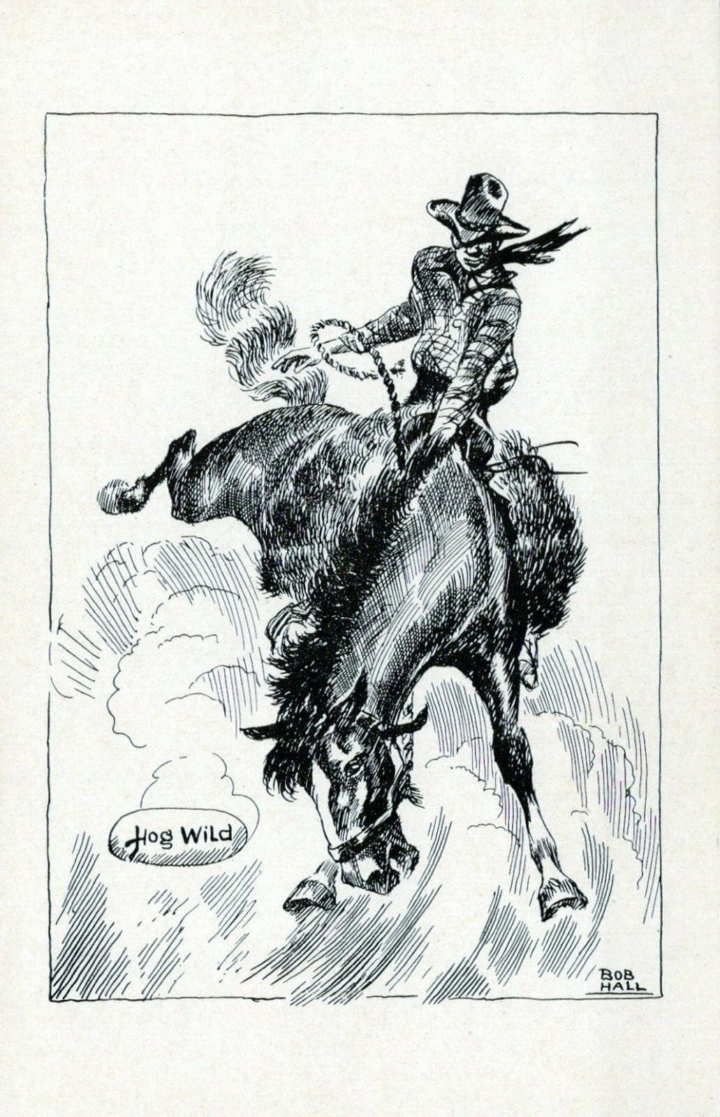 Bob Hall Drawing Hog Wild Western Cowboy Bucking Bronco Chrome Vintage Postcard