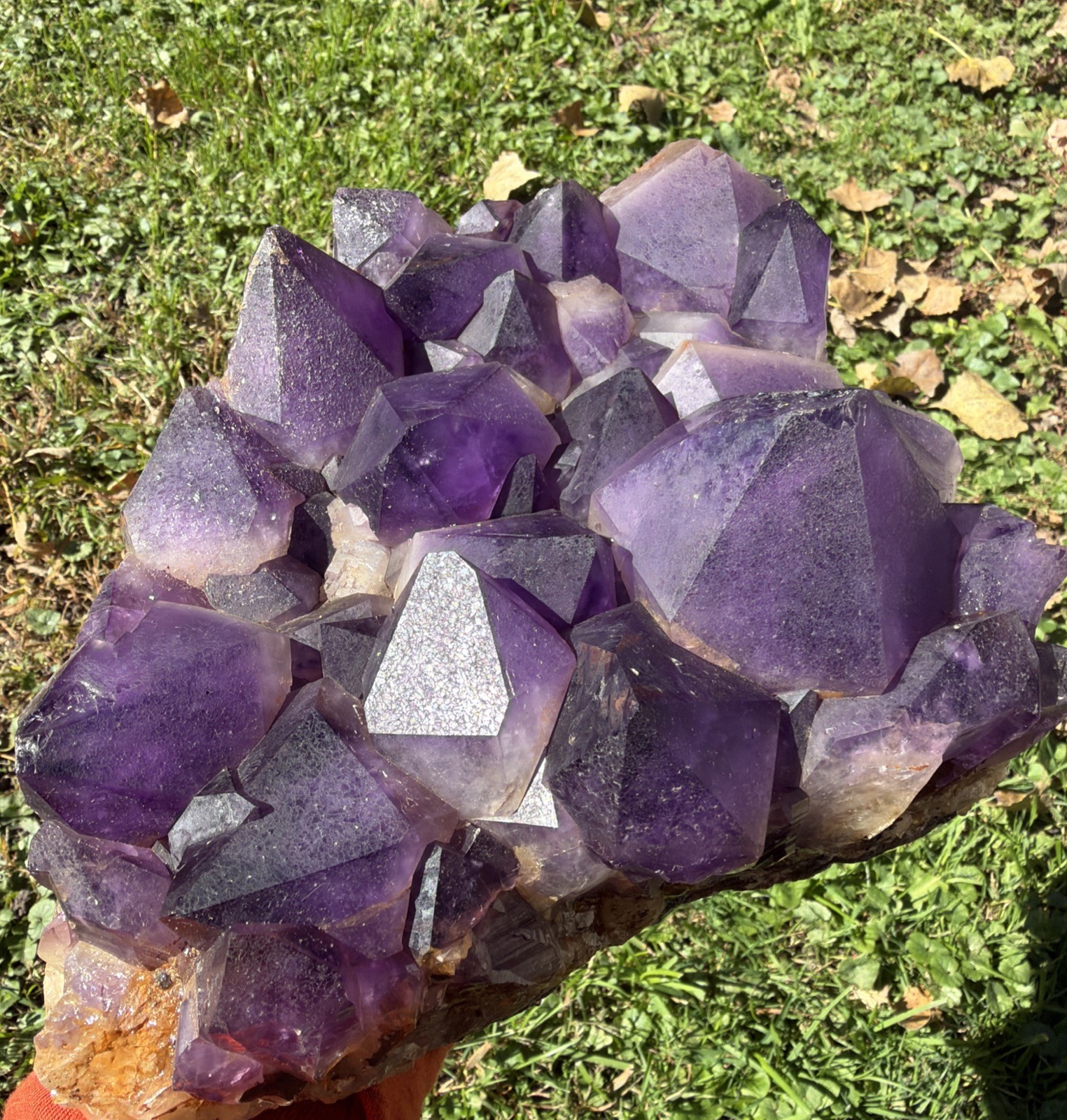 10.5 LB Natural Deep Purple Amethyst Plate Big Points  Crystals, Minerals