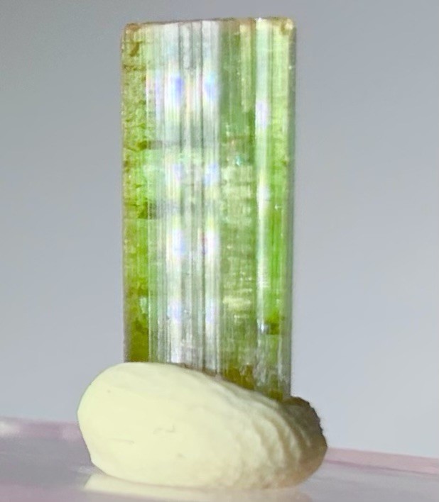 Beautiful Unique Neon Green Purple Cap Tourmaline Crystal Natural Raw Specimen