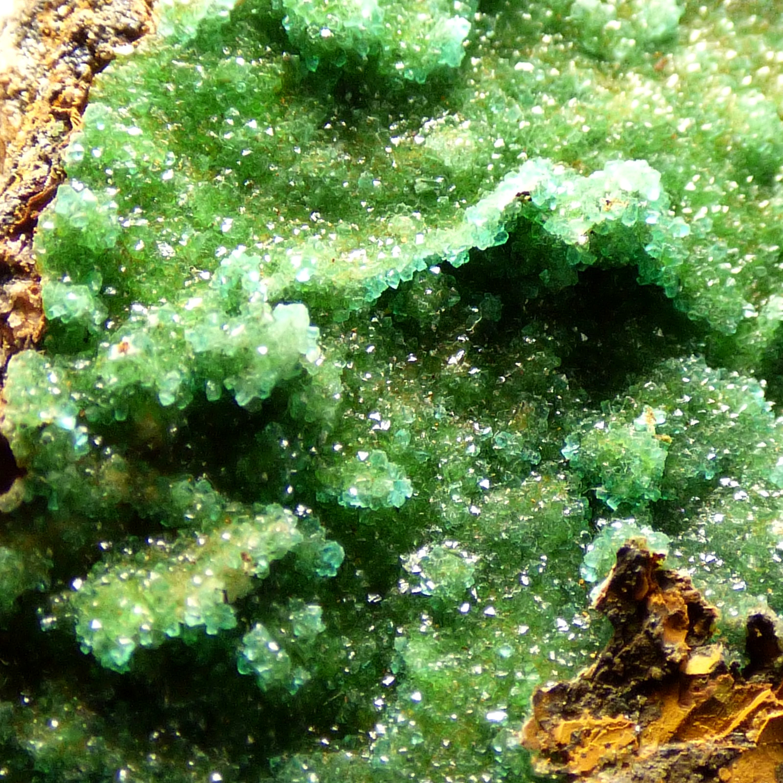 Cuprian Adamite Crystals Hilarion Mine Lvl 3 Lavrion Attica Greece Specimen 6cm Cuprian Adamite Crystals Hilarion Mine Lvl 3 Lavrion Attica Greece Specimen 6cm