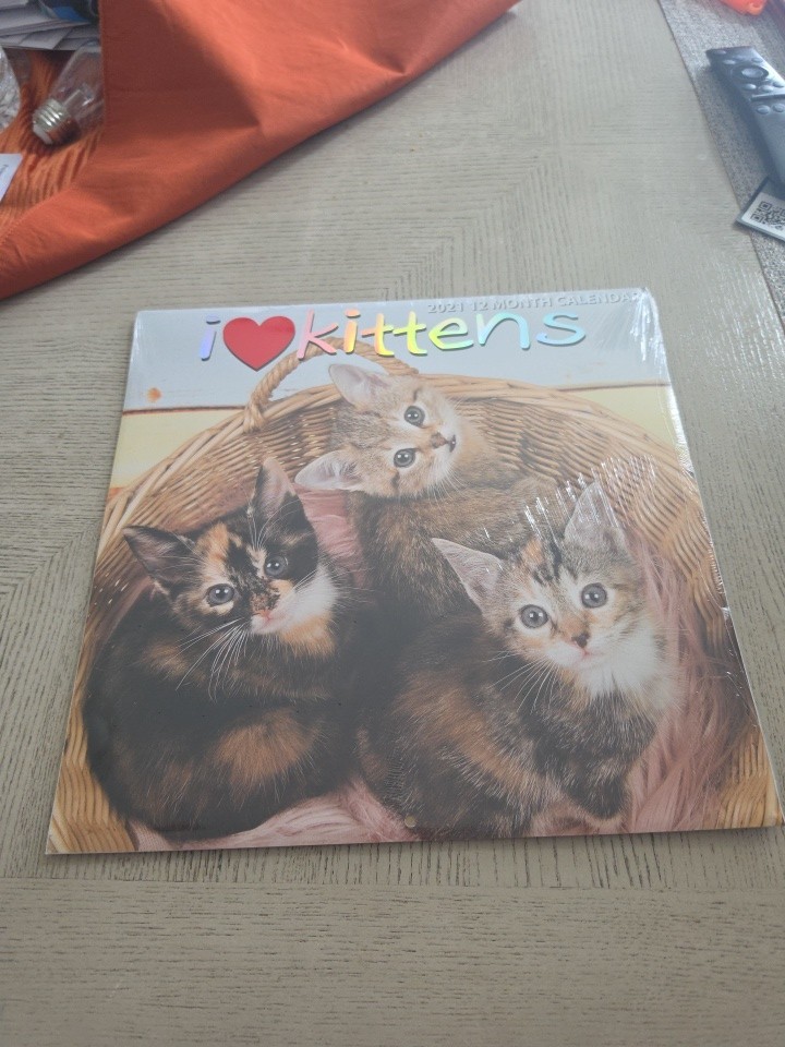 I Love Kittens 12 Month Wall Calendar 2021 12 I Love Kittens 12 Month Wall Calendar 2021 12