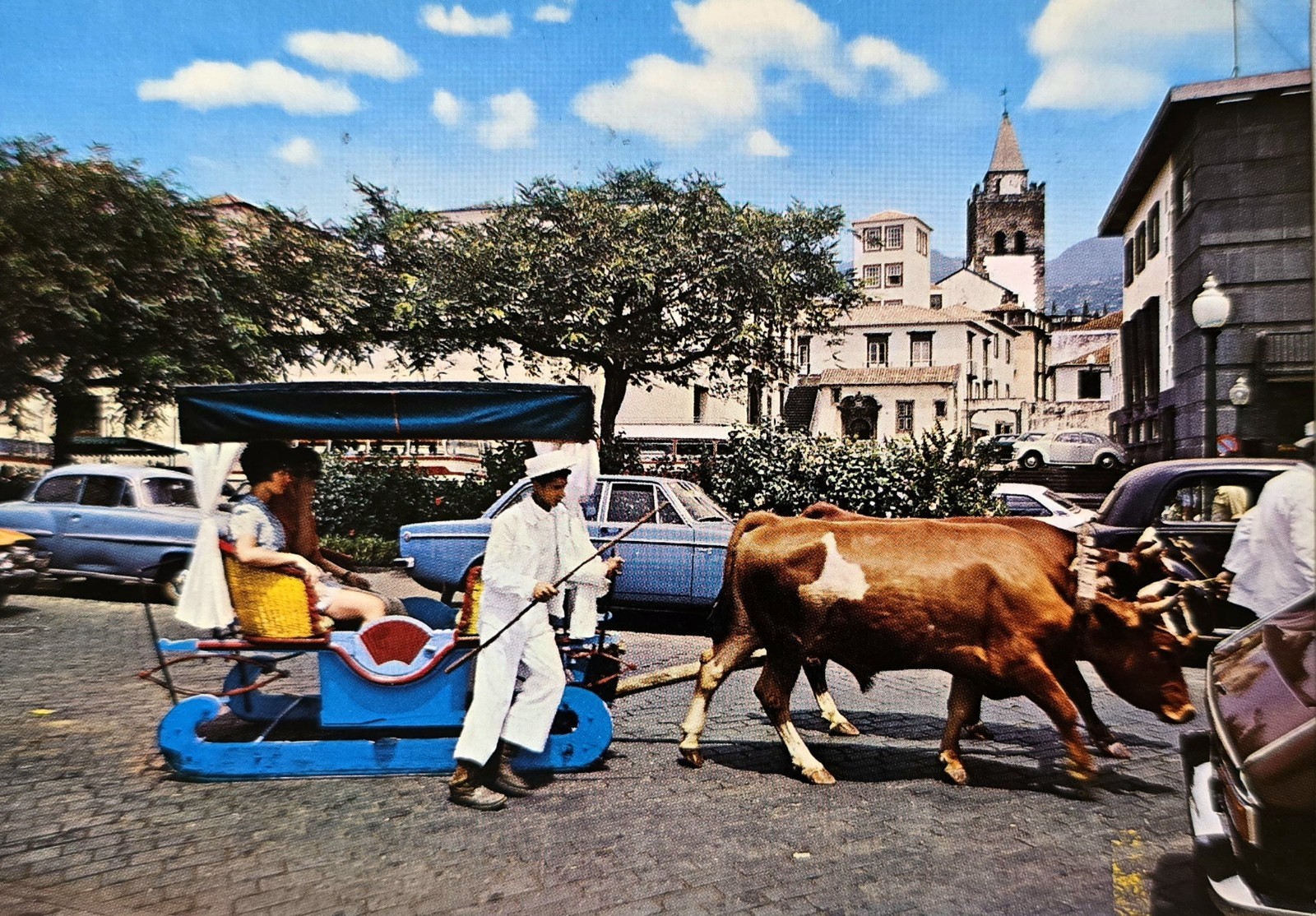 Funchal Madeira Corto de bois Hípico ox cart 1970s old card pc cpa postcard Funchal Madeira Corto de bois Hípico ox cart 1970s old card pc cpa postcard
