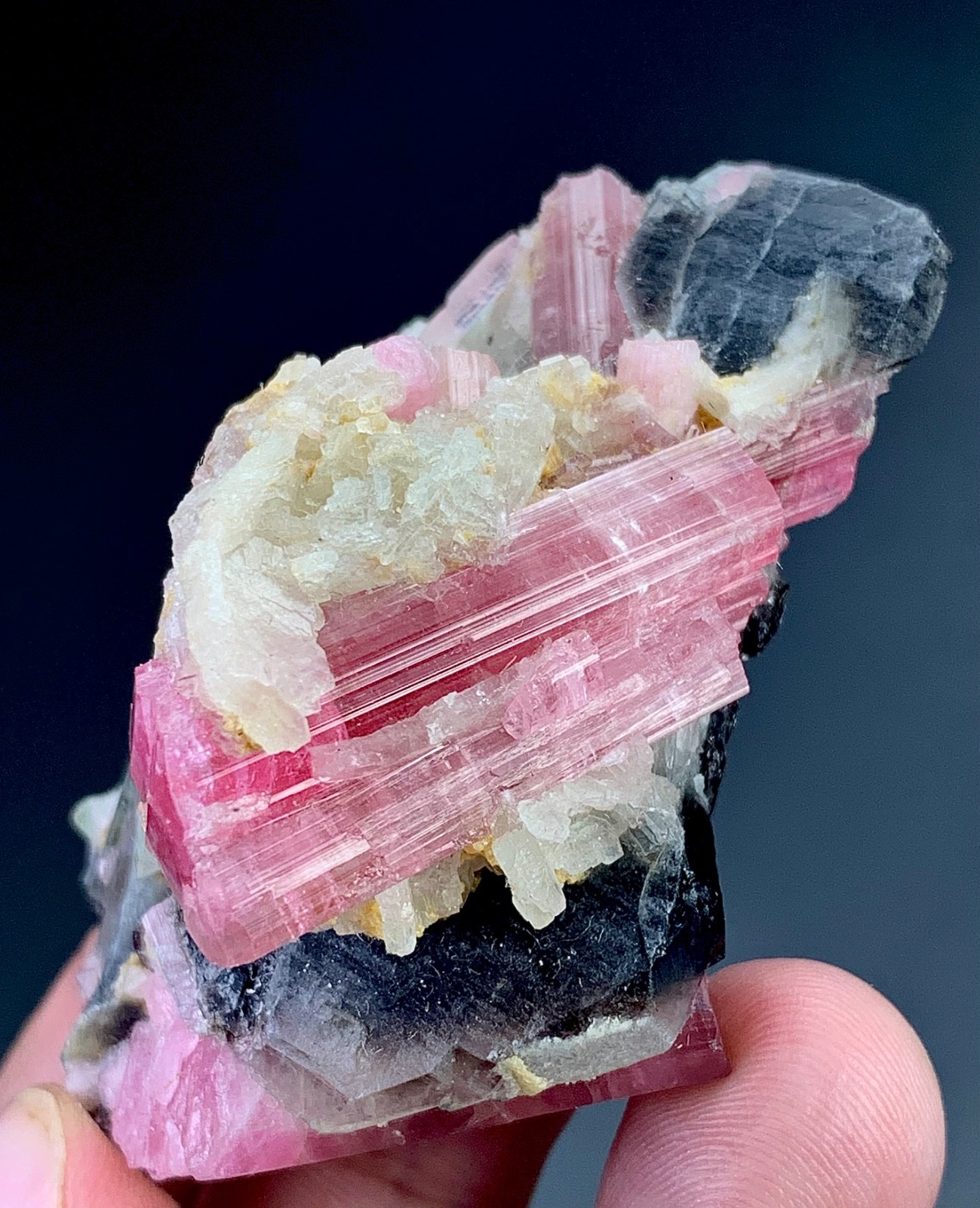 Bi Colour Tourmaline Crystal With Quartz From Afghanistan 313 Carat Bi Colour Tourmaline Crystal With Quartz From Afghanistan 313 Carat