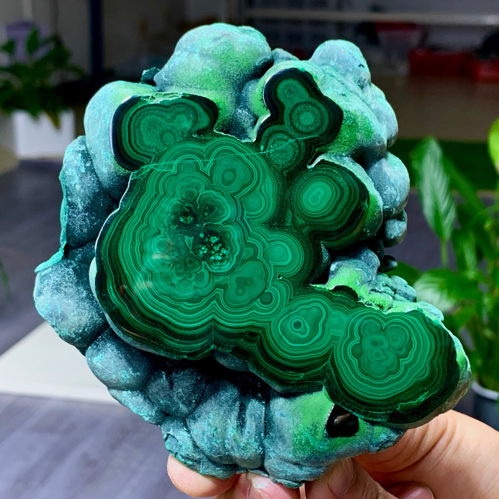 695G Natural glossy Malachite transparent crystal rough mineral sample healing