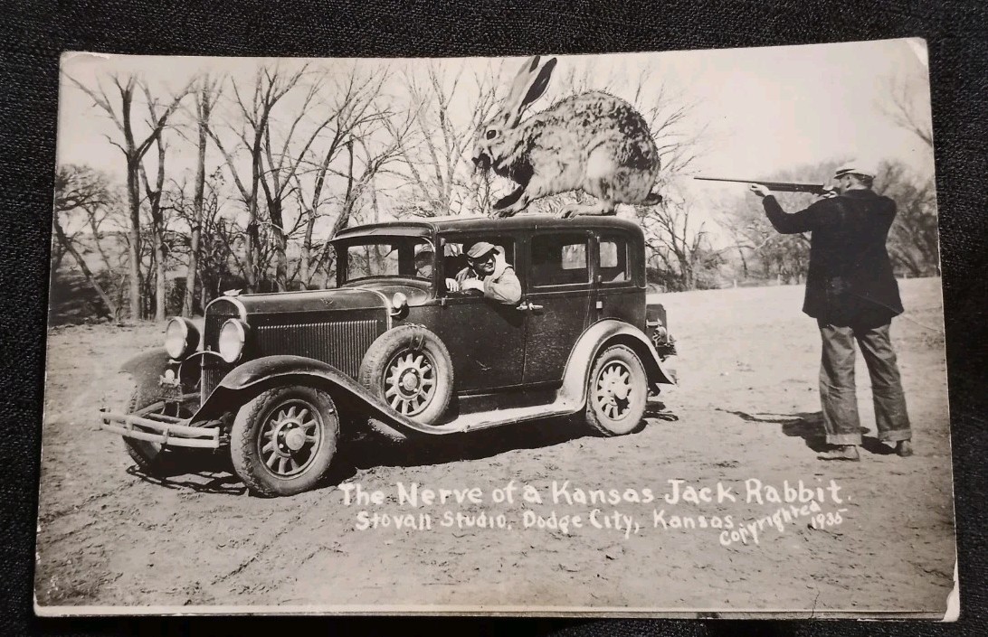 RPPC Vintage 1935 Kansas Jack Rabbit Dodge City Kansas Postcard Stovall Studio
