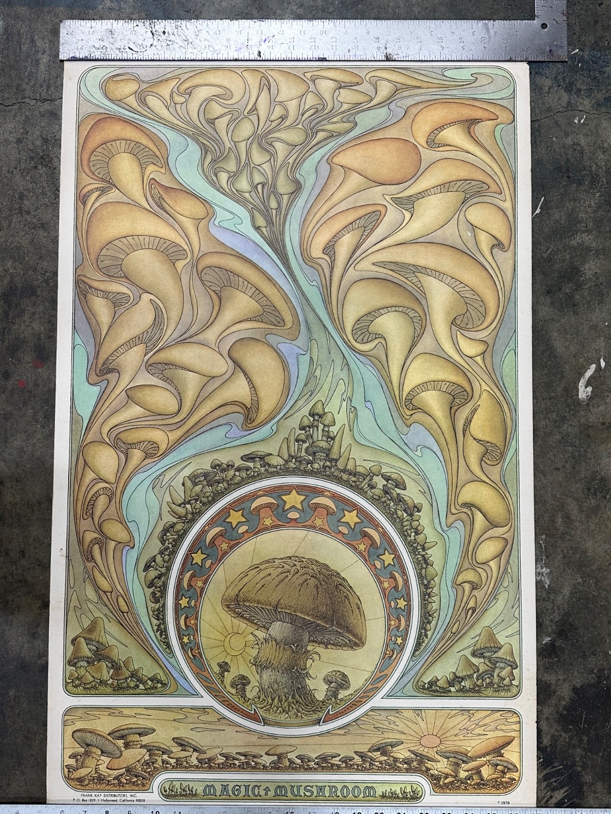 Magic Mushroom Vintage Poster 1970 Frank Kay Artist Psychedelics Head Shop Magic Mushroom Vintage Poster 1970 Frank Kay Artist Psychedelics Head Shop