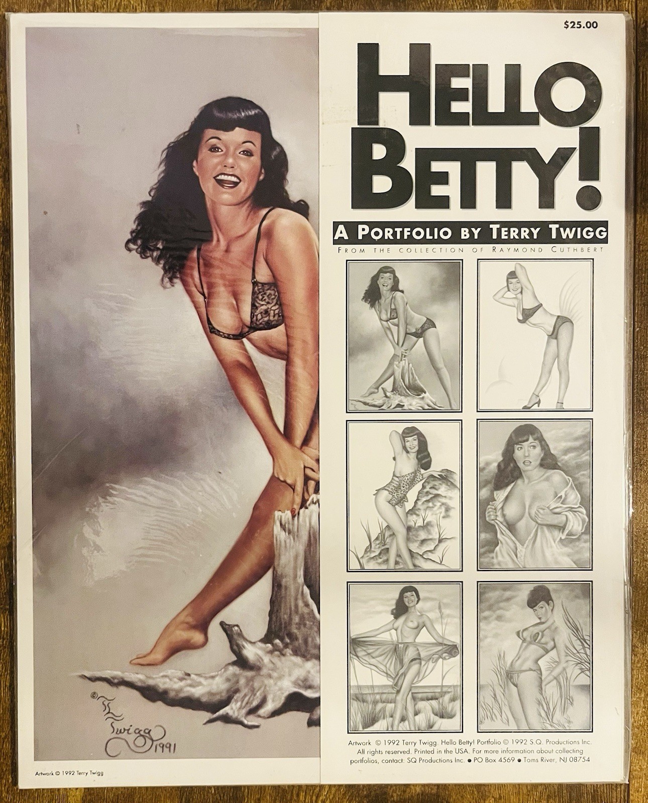 HELLO BETTY A PORTFOLIO BY TERRY TWIGG x SIX x 14