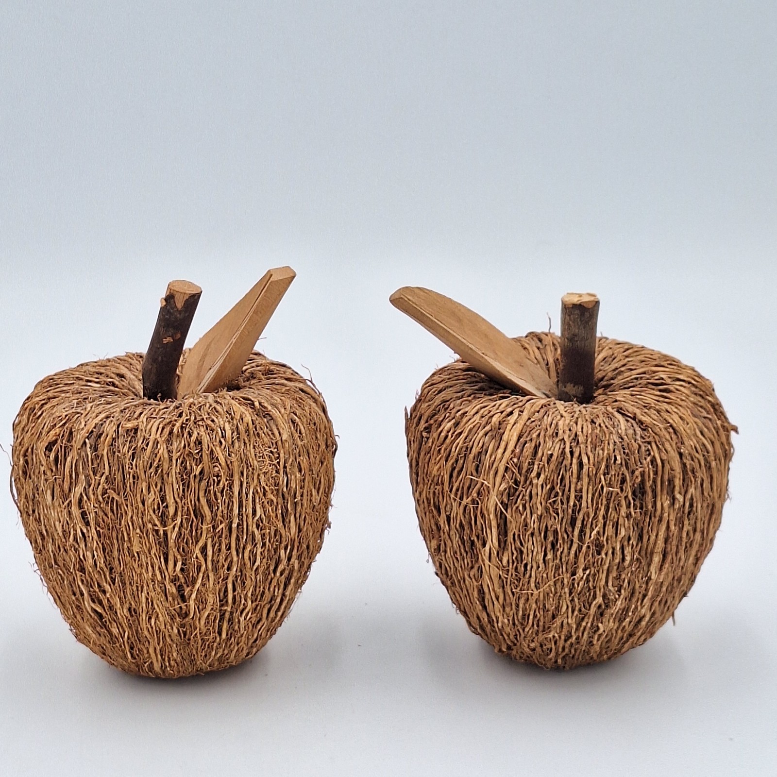 Coconut Husk Wood Apple Decor Set of 2 Rustic Fall Harvest Farmhouse Thanksgivin
