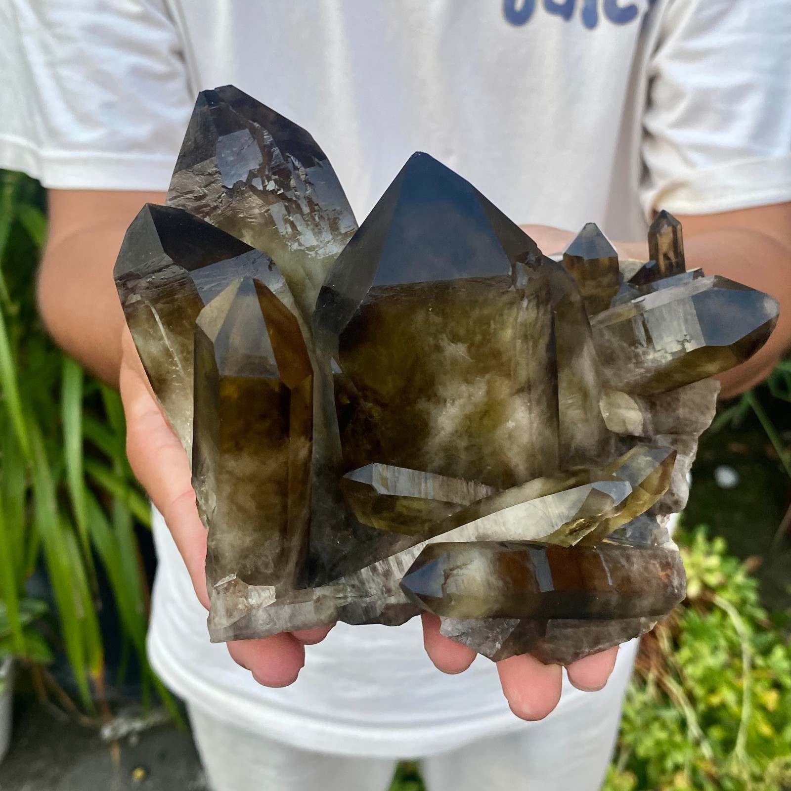 3.26LB Natural smoky black quartz cluster crystal mineral specimen healing